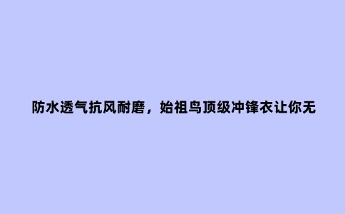 防水透气抗风耐磨，始祖鸟***冲锋衣让你无惧恶劣天气