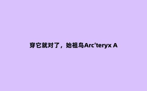穿它就对了,始祖鸟Arc’teryx Alpha SV硬壳冲锋衣实测