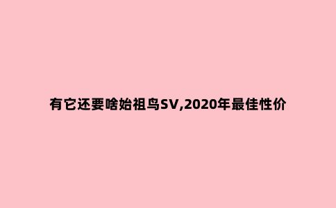 有它还要啥始祖鸟SV,2020年***佳性价比冲锋衣赏析