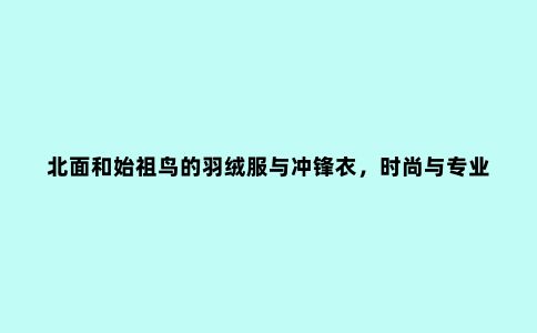 北面和始祖鸟的羽绒服与冲锋衣，时尚与专业，你更喜欢谁？