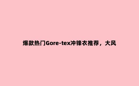 爆款热门Gore-tex冲锋衣推荐，大风大雨不再害怕