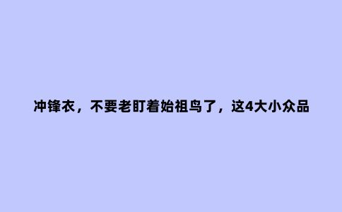冲锋衣，不要老盯着始祖鸟了，这4大小众品牌，实用性强个性十足