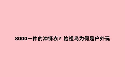 8000一件的冲锋衣?始祖鸟为何是户外玩家心中的“爱马仕”?