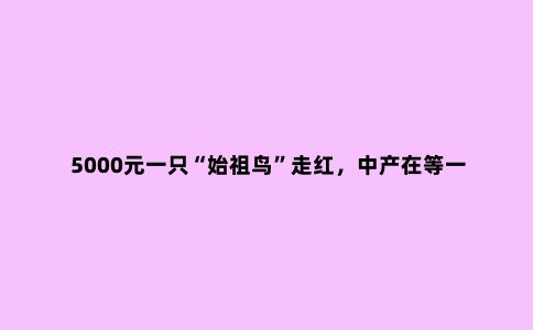5000元一只“始祖鸟”走红，中产在等一个平替