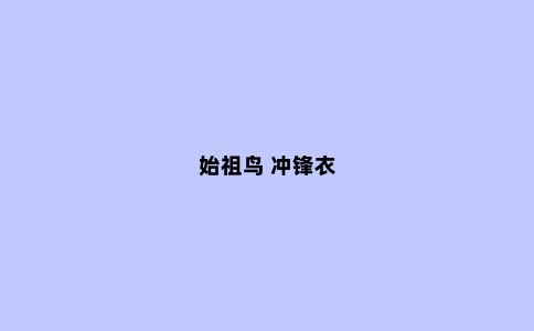 始祖鸟 冲锋衣