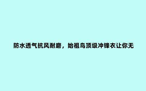 防水透气抗风耐磨,始祖鸟***冲锋衣让你无惧恶劣天气